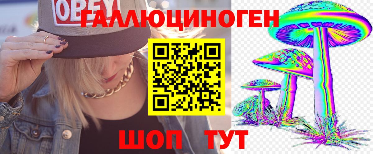 Россия  Псилоцибиновые грибы GOLDEN TEACHER  хочу   Вход с VPN 