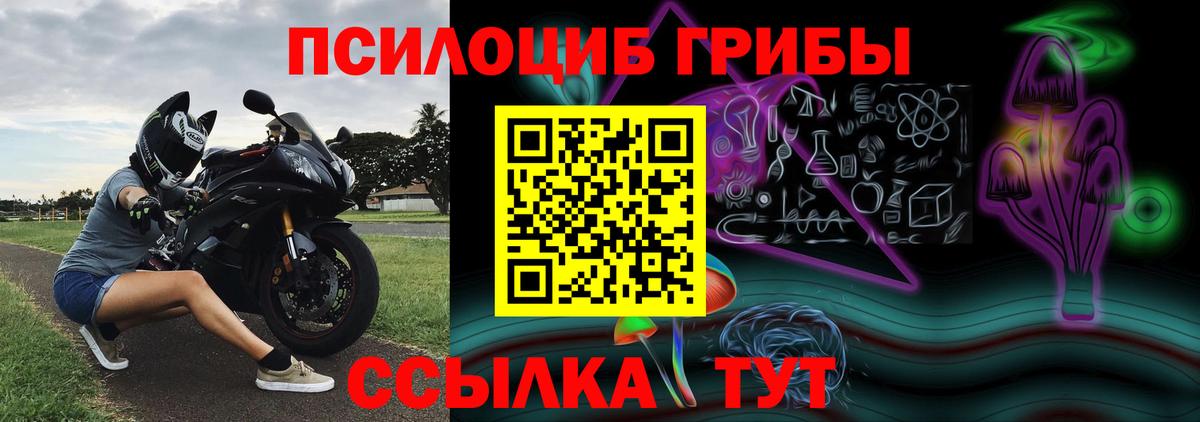 Галлюциногенные грибы мицелий Россия